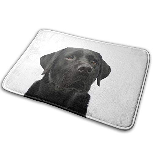 DADABULIU oX}bg փ}bg O  C}bg  uh[     ӂ}bg gC}bg }CNt@Co[ 唻  zD ~ K  40*60cm