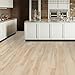 MSI Glendale 7 inch x 48 inch Luxury Vinyl Flooring, Rigid Core Planks, LVT Tile, Click Lock Floating Floor, Waterproof LVT, Wood Grain Finish, CASE, Aged Maple Beige, 19 Square Feet