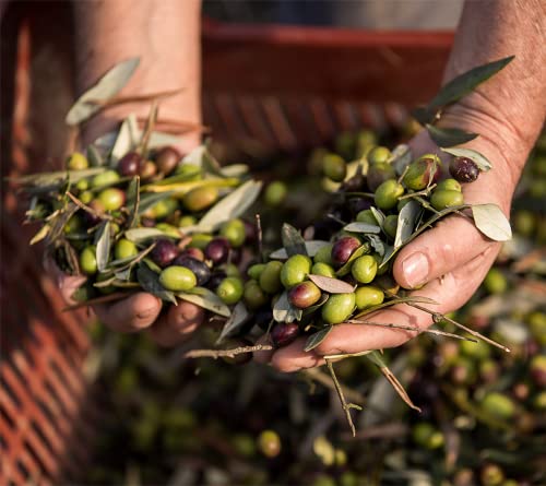 Olio Trufado Costa Doro 250Ml