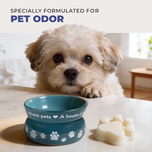 Image of Pet House Wild Blueberries Summer Scented Wax Melts - Long-Lasting Plant Based /Soy Wax Melts for Pet Odor Pack of 2