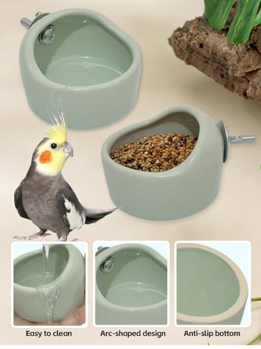 Niwaes 2PCS Birds Feeding Dish Cups Ceramic Bird Cage Food Bowls, Bird Cage Feeder Hanging Parrot Food Bowl for Budgie Finches Lovebirds Cockatiels (Green)