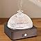 Amazon.com: Lecdura Glass Essential Oil Diffuser with Glass Reservoir ...