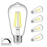 Ascher E26 LED Light Bulbs, Dimmable, 6W, Equivalent 60W, 800lm, Daylight White 5000K, ST58 Edison Bulb, Vintage Filament Clear Glass, Pack of 4