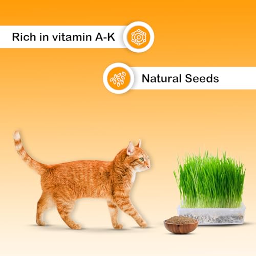 Image of Catgrass Growing Kit for Indoor & Outdoor Cats| Cat Grass Growing Kit with 4-Cocopeat Discs|3-Packets Of Chemical Free Wheat Grass Seeds| 1-Grass Planter| Easy To Grow