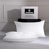 DOWNSTORIA Feather Down Pillows Queen/Standard Size Set of 2, Luxury Hotel Collection Bed Pillow 2 Pack, Down Surrounded Pillows for Sleeping, Soft Fluffy for Side Sleepers 20x28 in.