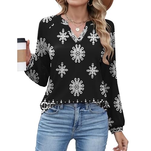 AKEWEI Women's Blouses V Neck Dressy Casual Lantern Long Sleeve Tops Business Work Raglan Shirts Fashion