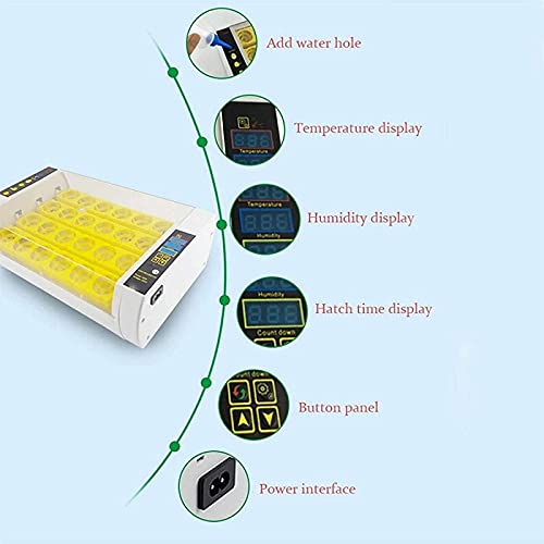 Automatische ei-incubator, 24 eieren geleid hoog-efficiëntie automatische temperatuurregeling, automatische ventilatie… - Afbeelding 4