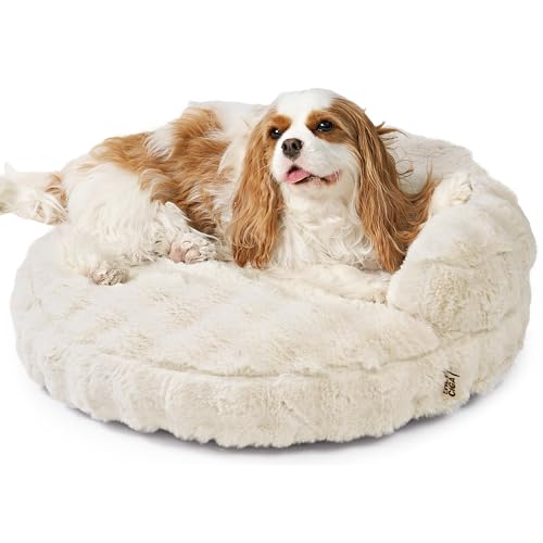 EHEYCIGA Cat & Small Dog Couch Bed 26