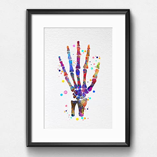 Image of Dignovel Studios 11X14 Unframed Hand Bone Human Anatomy Medical Science Doctor Clinic Hospital Watercolor Art Print Poster DN715