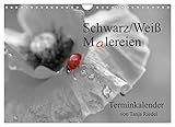 Schwarz-Weiß Malereien Terminkalender von Tanja Riedel für die SchweizCH-Version (Wandkalender 2023 DIN A4 quer) Monatskalender