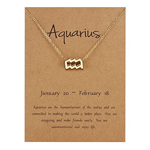 Aquarius Zodiac Necklace ! Pendant for Girl and Women ! Jewelry for Party ! Jewelry Accessories for Girl (B09P1CCC17) Amazon Price History, Amazon Price Tracker