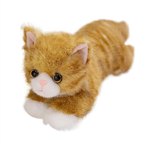 Lʂ A { S40cm  ʂ ӂӂ  lR ܂ NbV  킢l` YQ܂ G GObY N LO X [sAi]