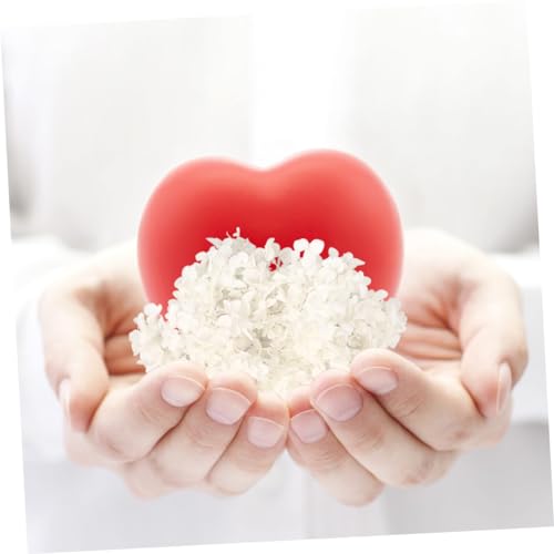 Alipis 1pack pétalos secos de hortensia blanca para manualidades miniatura 6