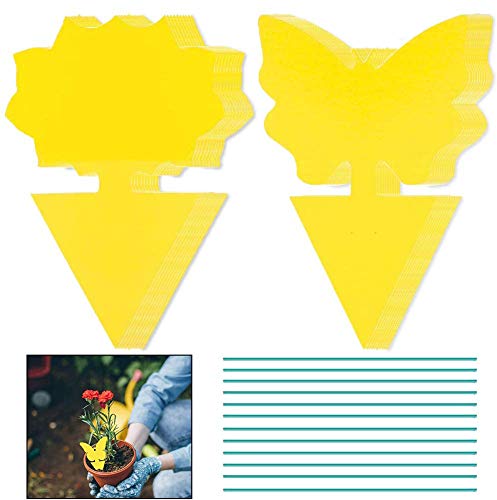 Preisvergleich Produktbild BESTZY Gelbtafeln Fliegenfallen 40 Stück Fänger Fliegenfänger Sticker Gelbsticker zum Schutz von Zierpflanzen