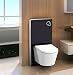 Produktbild Schwarzglas Sanitärmodul für Wand-WC inkl. Betätigungsplatte