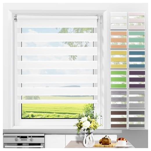 Allesin Doppelrollo Klemmfix ohne Bohren & mit Bohren, Duo Rollos für Fenster und Tür, Klemmrollo Fensterrollo lichtdurchlässig Sichtschutz, B60 x H120cm (Stoffbreite 60cm) Weiß