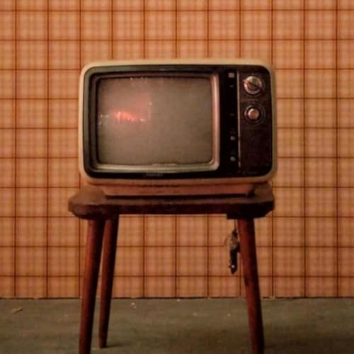 TV on the Radio: SNL UK, The Pitt, Bait