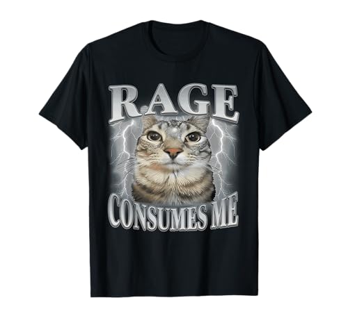 Rage Consumes Me Funny Silly Staring Cat Meme Women Men T-Shirt