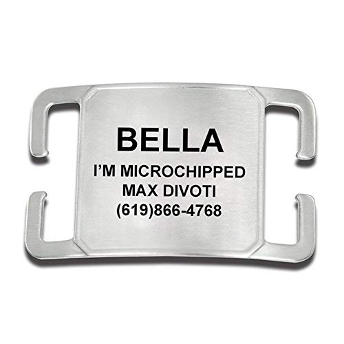 Divoti Deep Laser Custom Engraved Slide-On Pet ID Tags for Dogs & Cats, Customized Silent, No Noise Collar Tags, Hand-Brushed Stainless Steel, Includes up to 4 Lines of Personalized Text - Medium