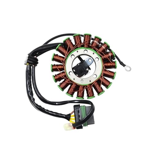 Bobina del estator para rutas exigentes en motocicleta 2