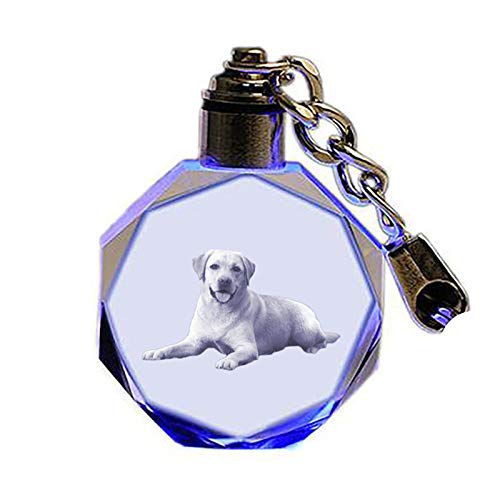 Preisvergleich Produktbild Benutzerdefinierte Foto Schlüsselbund personalisierte Kristall Schlüsselbund LED leuchtenden Schlüsselbund 7 Farblampe(Achteckig 1.2 * 3 * 3cm)