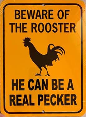 Eeypy Warning Sign Beware of The Rooster He Can Be a Real Pecker Funny Chicken Coop Sign Tin Signs for Man Cave 8x12 Inch