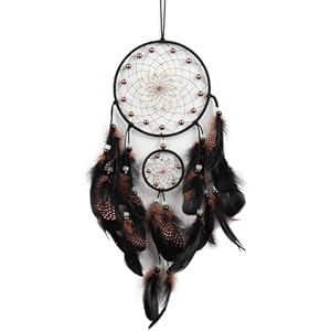 6.3″ Dream Catcher Wall Hanging for Home Decoration, 6.3″ x 20″ Traditional Circular Net with Brown Feathers & Luminous Beads for Bedroom Decor