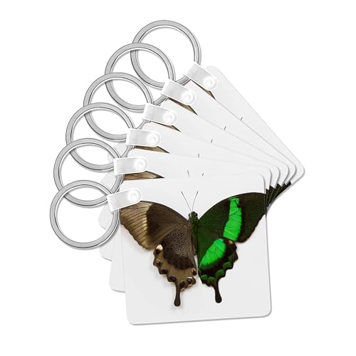 3dRose, Emerald Swallowtail Butterfly Comparing the top and bottom wing,