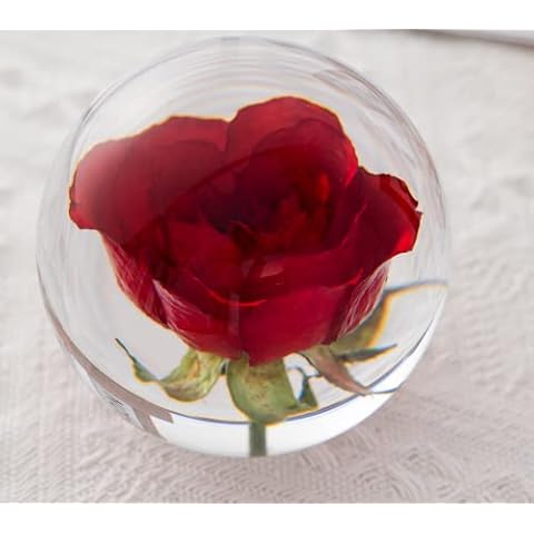 Zhyx Red Rose Paperweight Crystal Wishing Ball The unique red is a perfect gift for family, friends, couples and children (8 cm) in diameter Cover