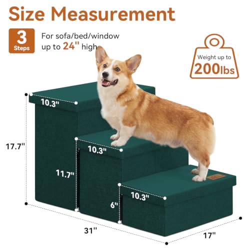 View 3