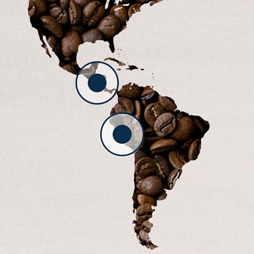 Lavazza + Rifle Paper Co. Holiday Blend Ground Coffee Medium Roast 10.5 Oz.  thumb #5