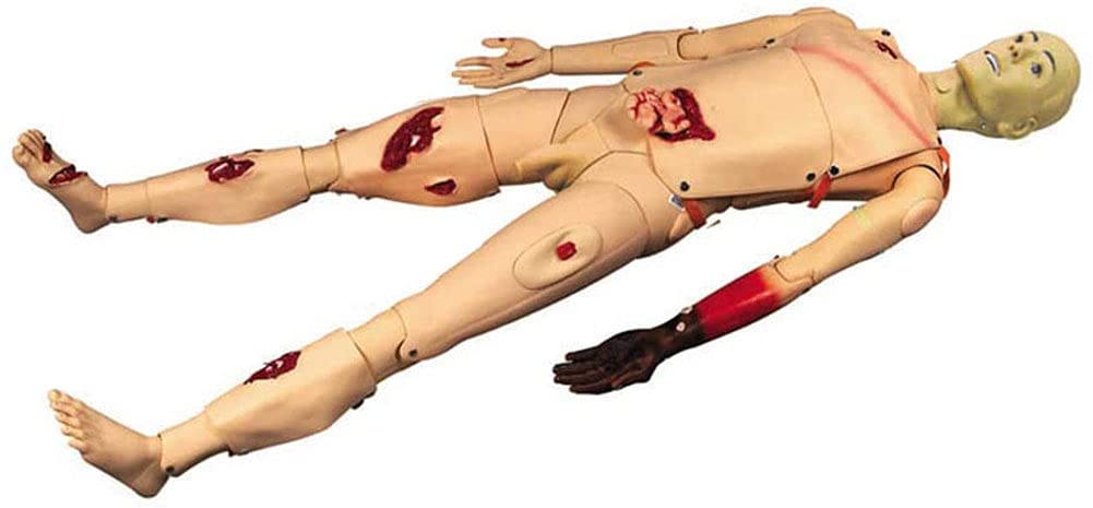Mannequin De Simulation pour La Formation Aux Premiers Secours, Les Soins des Plaies, La Formation Médicale Et l'enseignement des Interventions d'urgence Et des Soins De
