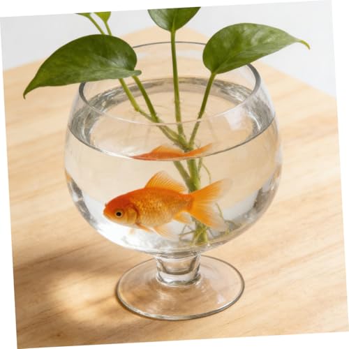 Aquarium pour Betta et vase hydroponique pour une décoration de bureau zen