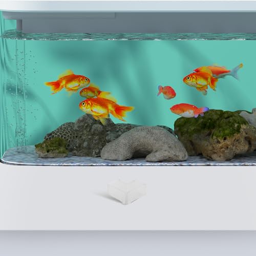 Protections d'angle pour aquariums en verre de 8 mm Yardenfun en plastique, lot de 100