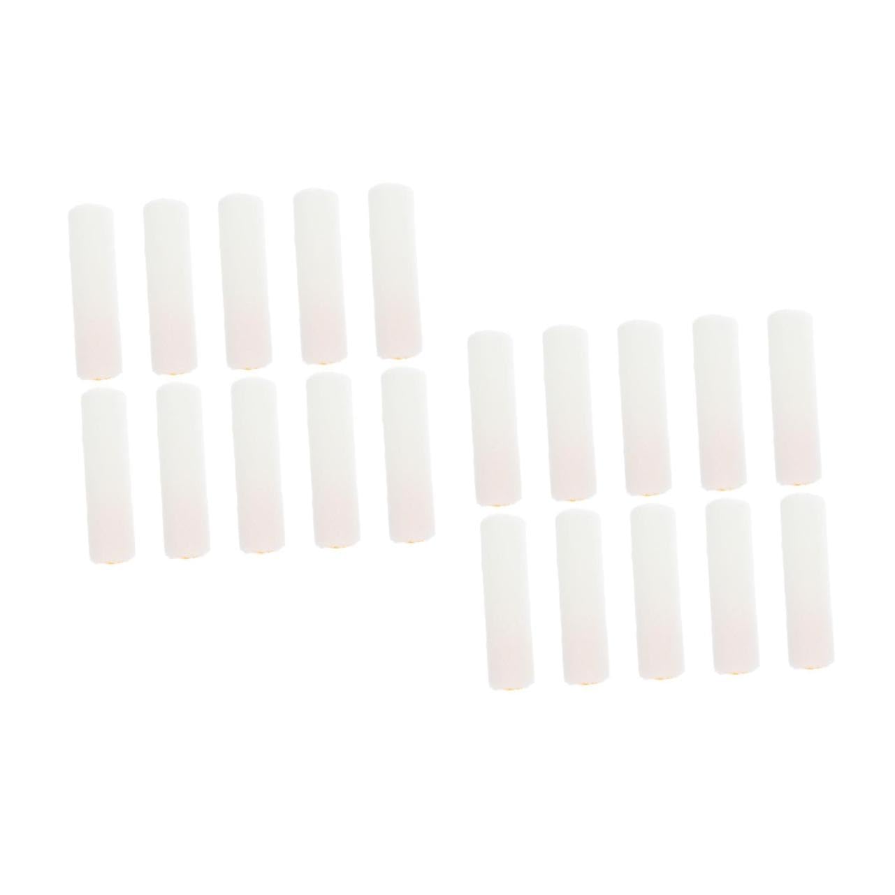 2 Set Ricariche Per Pittura Coperture Per Verniciatura Per Finiture Lisce E Pratiche Te Colore Casuale 10 Pezzi * 2