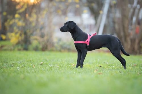 Hundegeschirr Soft & Safe reflektierend, Gr.0: 35-45cm cayenne/schwarz