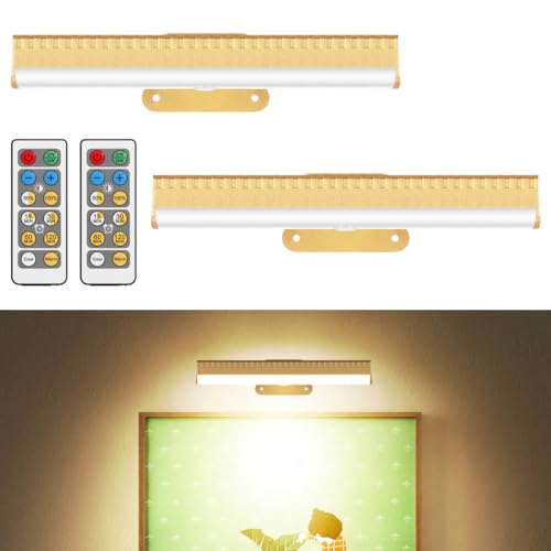 HIPTOKING 2Pcs Picture Light for Wall Dimmable,Remote Painting Light with