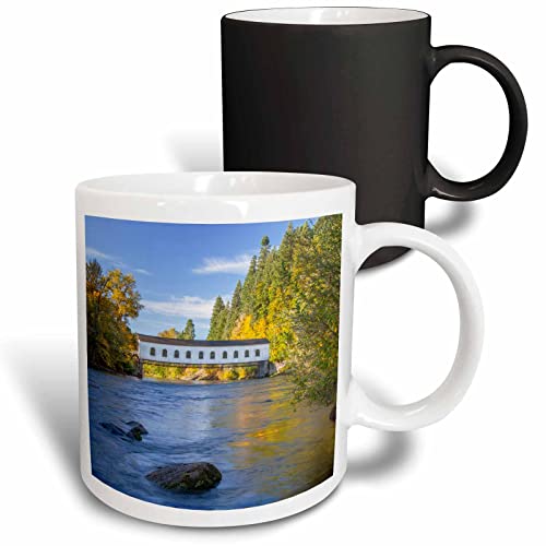 3dRose USA, Oregon, Lane County, Goodpasture 11oz Magic Transforming Mug