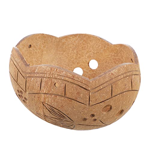 ibasenice 2 Piezas Colgando Una Olla De Flores Suculentas Plantas Suculento Maceta Colgante Maceteros Palma De Fibra De Pulido Natural Brown Cascara De