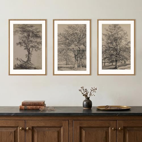 Image of KAIRNE Vintage Tree Sketch Framed Canvas Wall Art Set, Antique Tree Drawings Wall Decor, Retro Forest Art Prints, Modern Nature Landscape Artwork for Living Room, Bedroom, Farmhouse, Office-24 x36 x3