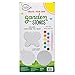 Creative Roots Paint Your Own Butterfly, Ladybug & Sun Stepping Stone by Horizon Group USA, 1 box of 3 count
