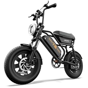 URLIFE Electric Bike for Adults/Teens, Electric Dirt Bike with Storage Box, 48V 13AH Removable Battery, 16″ Fat Tire All-Terrain E-Bike, UL 2849 Certified