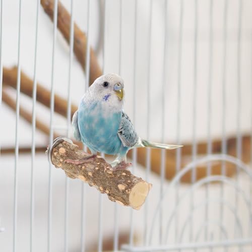 Perchoirs naturel pour cage à oiseaux : protégez les pattes et le bec de vos perruches
