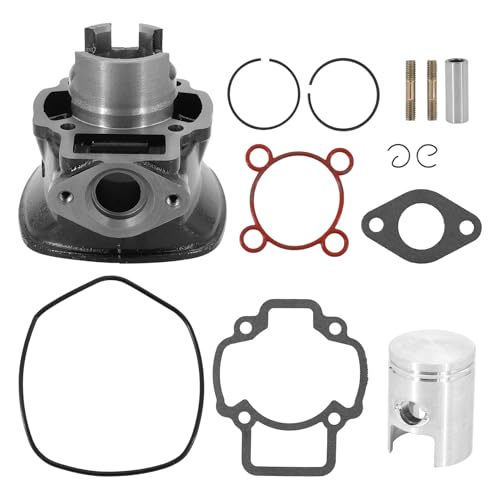 Dokili Zylinder 50ccm für Aprilia SR 50 LC Gilera Runner DNA Piaggio NRG MC3