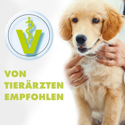 ViPiBaX Giardien-Spray 750ml für Hund, Katze & Co - Geruchsentferner - Hygiene-Spray - Effektive Desinfektion gegen Giardien, Viren, Pilze & Bakterien