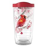 Tervis Christmas Holiday Cardinal and Berry Branches Made in USA Double Walled Insulated Tumbler Travel Cup Keeps Drinks Cold & Hot, 16oz, Classic