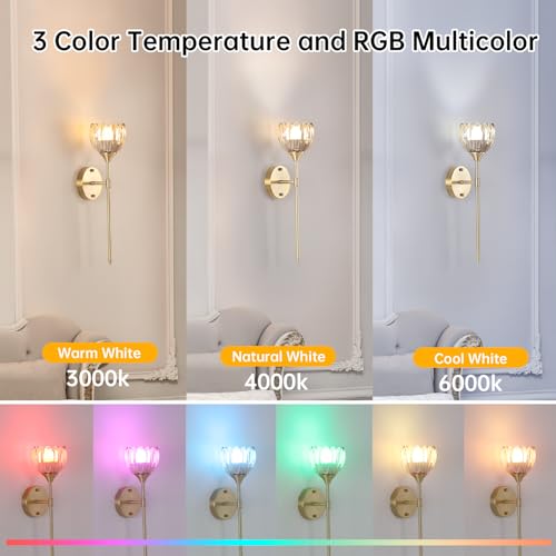 Image of Shenmoyl Battery Operated Wall Sconce Set of 2, Amber Tulip Vintage Wall Light Fixture Rechargeable 5000mAh Battery Powered Wall Lamp with Remote for Living Room Bathroom