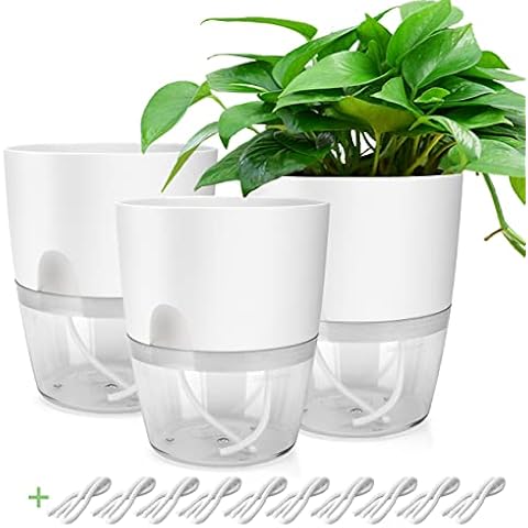 Kräutertopf 3er Set - Weiß Küchenkräuter Blumentopf 15 cm Cover