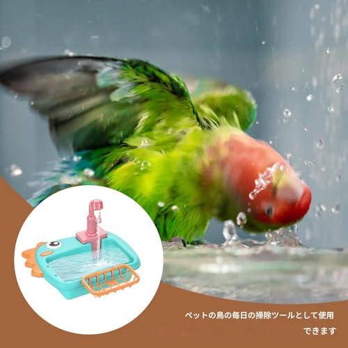 Diyeiga o[hV[ - \ CRpoX - ֌t{Et ybgp Op 뉀eXΉ