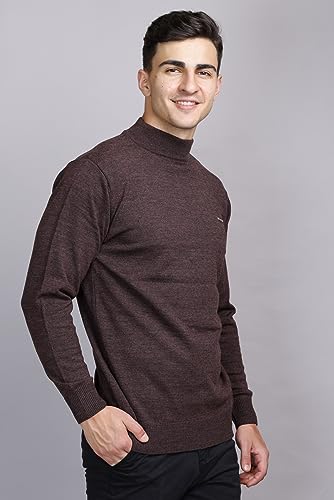 Image of GODFREY Woolen Full Sleeve Sweaters for Men Winter Wear - Turtle Neck Pullover for Men Stylish